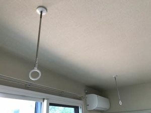 コスモスⅠ 1102号-13