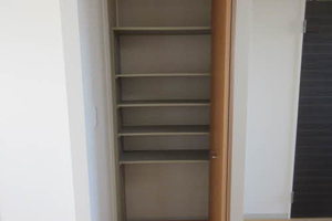 ドリームハイム 0201号-4