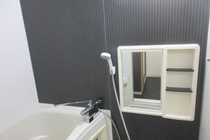 ドリームハイム 0201号-9