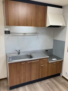 ラプラス植松５ 0102号-4