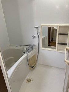 ラプラス植松５ 0102号-10