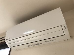 グランドウールⅡ 0205号-10