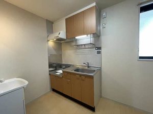 ディアス藤荘 0203号-4