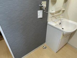 ディアス藤荘 0203号-6