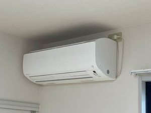 ディアス藤荘 0203号-11