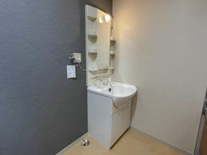 ディアス藤荘 0203号-13