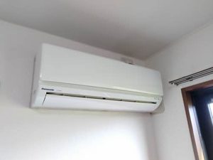 クレセールもも B101号-14