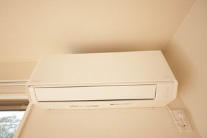 Ｖｏｇｅｌ B101号-6