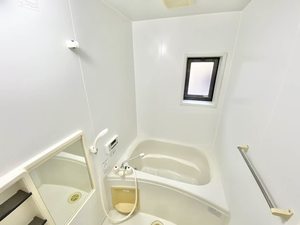 パストラルコート・S C101号-13