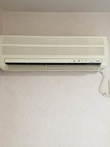 Ｗｉｌｌ 0202号-11