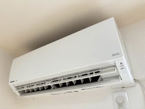 フォレストプレイン A202号-12