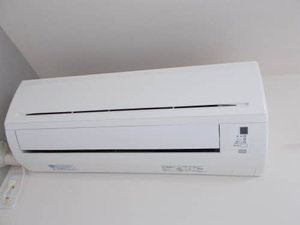 フォレストプレイン B101号-9