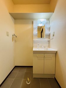 ディアスぐれーぷＡ 0102号-9