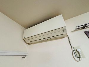 ディアスぐれーぷＡ 0102号-14