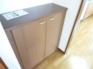 コスモハイツ F201号-13