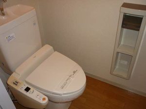 ディアスハイランド 0101号-9