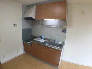 ヴェルドミール A101号-3