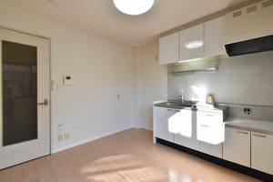 メゾンフルールⅡ 0102号-3