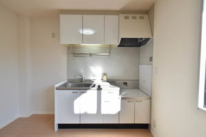 メゾンフルールⅡ 0102号-4