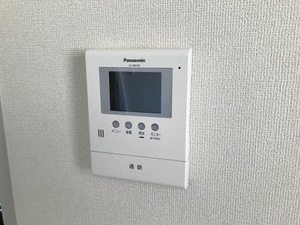 アムール エヌ 0201号-8