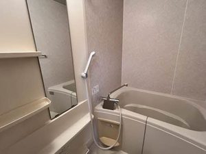 シェゾワ２１ 0101号-7