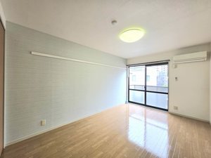 セイブハイツⅡ 0203号-2