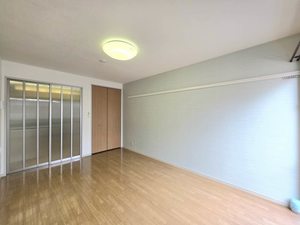 セイブハイツⅡ 0203号-5