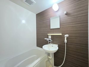 セイブハイツⅡ 0203号-14