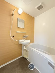 メゾンセピア B203号-8