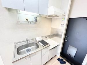 シルキーＭ 0103号-11