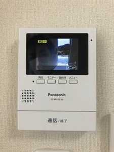 サングリーンオオタ B102号-8