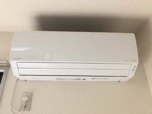 サングリーンオオタ B102号-9