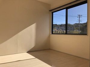 サングリーンオオタ B202号-3