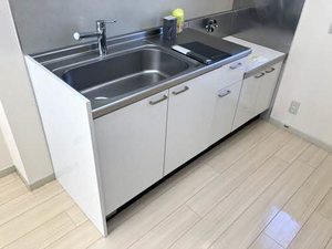 サングリーンオオタ B202号-7