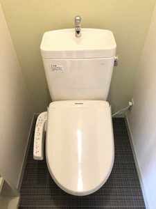 サングリーンオオタ B202号-8