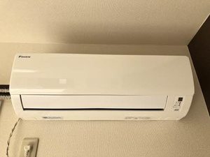 サングリーンオオタ B202号-9