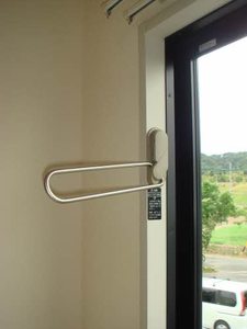 サングリーンオオタ B202号-12