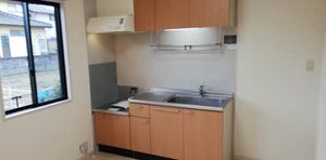 アウル D110号-13