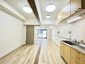 サロンサービスサイトミズノ 0804号-2