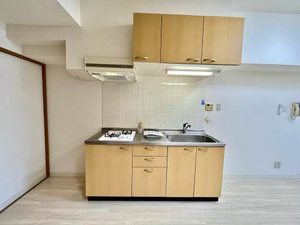 サロンサービスサイトミズノ 0903号-4