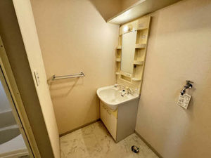 バリュージュ宗法 0102号-10