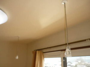 ロベリア 0202号-5