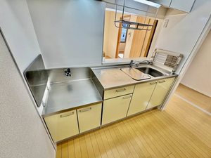 パルティール昭府 0202号-4