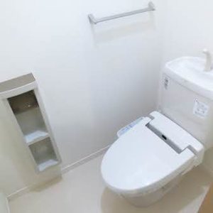 メゾン・ド・アプリコ 0105号-9