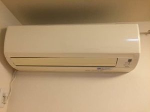 グリーンベア 0101号-6