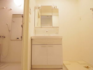 Ｍａｒｃｈｅ　Ⅴ 0302号-12