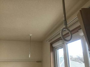 Ｌａ　Ｃｏｕｒ　ｄｕ　Ｒｅｎａｒｄ C202号-13