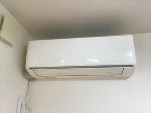 Ｌａ　Ｃｏｕｒ　ｄｕ　Ｒｅｎａｒｄ C202号-14