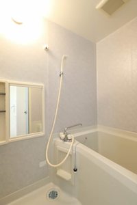 レイクサイドディアス 0103号-11