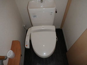 グレースガーデン登呂 D101号-9